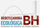 Dedetizadora BH, empresa de dedetização em BH | Ecológica BH